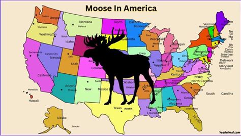 states where moose are found.